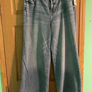 Plus size high rise women’s jeans